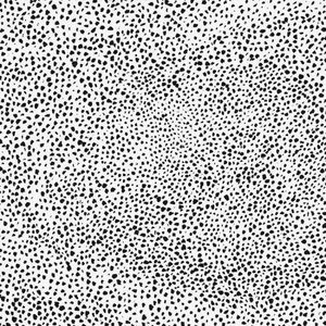 Meet your Posher, Hayden